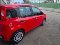 Usata Fiat Panda Easy 95 CV (69 kW) 2017 Rosso Utilitaria