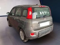 Usata Fiat Panda S 69 CV (50 kW) 2023 Grigio Utilitaria