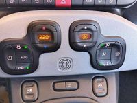 Usata Fiat Panda Cross Cross 69 CV (50 kW) 2021 Nero Utilitaria