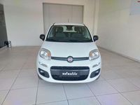 Usata Fiat Panda Easy 84 CV (61 kW) 2020 Bianco Utilitaria