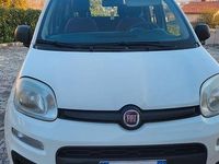 Usata Fiat Panda 85 CV (62 kW) 2013 Bianco Utilitaria