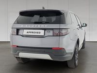 Gebraucht Land Rover Discovery Sport Basis 2020 Grau SUV