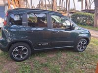 Usata Fiat Panda Cross Cross 69 CV (50 kW) 2024 Verde Utilitaria