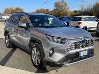 usata Toyota RAV4 EV 