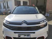 Usata Citroën C5 Aircross PureTech 181 CV (133 kW) 2020 Bianco SUV