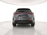 Usata Lexus NX350h 190 CV (139 kW) 2024 Grigio SUV