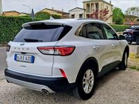 Usata Ford Kuga Titanium 163 CV (119 kW) 2020 SUV
