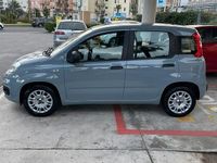 Usata Fiat Panda 2018 Grigio Utilitaria