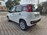 Usata Fiat Panda Easy 84 CV (61 kW) 2020 Bianco Utilitaria