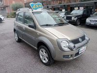 usata Fiat Panda Cross 1.3 MJT 16V 4x4 *4X4 inseribile*