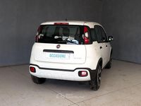 Usata Fiat Panda Cross Cross 94 CV (69 kW) 2023 Bianco Utilitaria