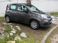 Usata Fiat Panda S 70 CV (51 kW) 2021 Grigio Utilitaria