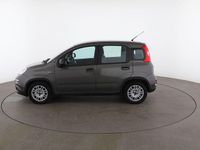 Usata Fiat Panda 70 CV (51 kW) 2023 Grigio Utilitaria