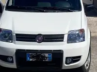 Usata Fiat Panda 4x4 69 CV (50 kW) 2008 Bianco Utilitaria
