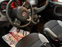Usata Fiat Panda 70 CV (51 kW) 2022 Grigio Utilitaria