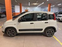 usata Fiat Panda 1.0 FireFly 70cv S&S Hybrid City Life