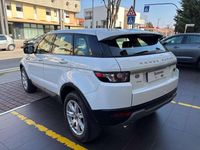 Usata Land Rover Range Rover evoque Pure 150 CV (110 kW) 2013 Fuji withe SUV