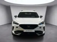 Usata Cupra Formentor 150 CV (110 kW) 2023 Bianco pastello SUV