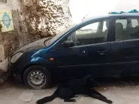 Usata Ford Fiesta 68 CV (50 kW) 2004 Bluazzurro Utilitaria