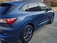 Usata Ford Kuga ST-Line 152 CV (111 kW) 2024 SUV