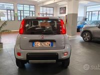Usata Fiat Panda 4x4 S 86 CV (63 kW) 2020 Grigio Utilitaria