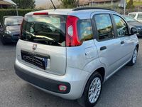 Usata Fiat Panda Easy 75 CV (55 kW) 2014 Grigio Utilitaria