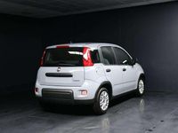 Usata Fiat Panda S 69 CV (50 kW) 2023 Grigio Berlina