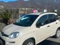 Usata Fiat Panda 70 CV (51 kW) 2013 Bianco Utilitaria