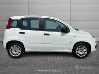 Usata Fiat Panda Easy 69 CV (50 kW) 2021 Bianco Utilitaria
