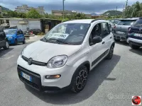 Usata Fiat Panda City Life 68 CV (50 kW) 2021 Utilitaria