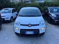 Usata Fiat Panda S 69 CV (50 kW) 2025 Bianco Utilitaria