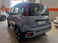Usata Fiat Panda Cross Cross 69 CV (50 kW) 2020 Grigio Utilitaria