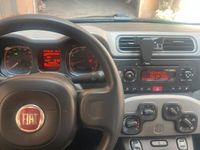Usata Fiat Panda 60 CV (44 kW) 2013 Utilitaria