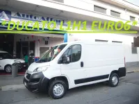 Usata Fiat Ducato 116 CV (85 kW) 2019 Bianco Furgone
