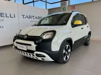 Usata Fiat Panda Cross Cross 69 CV (50 kW) 2025 Bianco Utilitaria