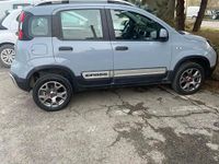 Usata Fiat Panda 4x4 2018 Grigio Utilitaria