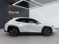 Usata Lexus UX 250h Luxury Line 184 CV (135 kW) 2019 Other SUV