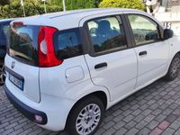 usata Fiat Panda Panda 1.3 MJT95 cavalli 1300 Td