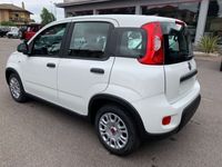 usata Fiat Panda 1.0 FireFly S&S Hybrid - PREZZO PROMO -