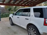 Usata Land Rover Freelander 2 190 CV (139 kW) 2011 Bianco SUV