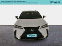 Usata Lexus UX 250h 184 CV (135 kW) 2023 Bianco SUV