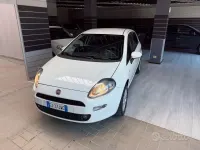 Usata Fiat Punto Lounge 70 CV (51 kW) 2014 Bianco Utilitaria