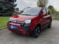 Usata Fiat Panda Cross Cross 69 CV (50 kW) 2024 Other Utilitaria