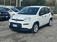 Usata Fiat Panda S 69 CV (50 kW) 2024 Bianco Utilitaria