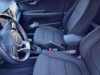 Usata Kia Stonic 120 CV (88 kW) 2018 Grigio SUV