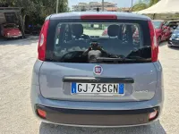Usata Fiat Panda S 69 CV (50 kW) 2022 Grigio Utilitaria