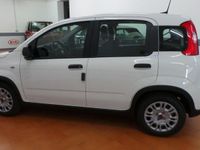 usata Fiat Panda 1.0 FireFly S&S Hybrid City Life