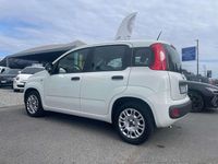 Usata Fiat Panda City Life 69 CV (50 kW) 2021 Other Utilitaria