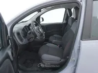 Usata Fiat Panda Easy 69 CV (50 kW) 2020 Grigio Utilitaria