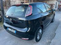 usata Fiat Punto 1.2 8V 5 porte Lounge LEGGI BENE